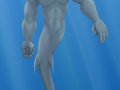 shark!.jpg